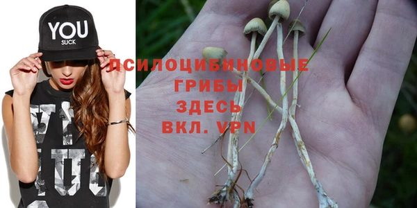 синтетический гашиш Абдулино