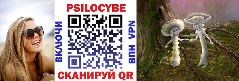 Галлюциногенные грибы Psilocybe  гидра как войти  Трубчевск  наркотики 